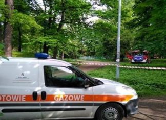 Interwencja służb w Parku Zamkowym