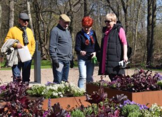Zostań senioralnym radnym i twórz Mysłowice przyjazne najstarszym mieszkańcom