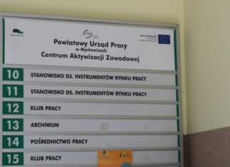 PUP przyjmuje wnioski o staże i dofinansowanie własnego biznesu