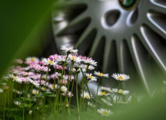 Wesoła będzie miała nowy ekoparking