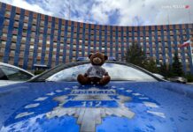 Misie od policjantów dodają otuchy dzieciom
