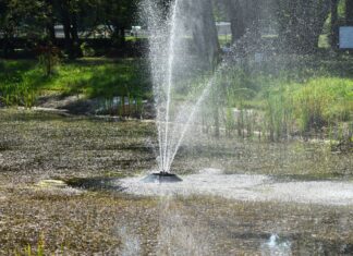 Rusza cykl koncertów „Między wodą a słońcem” na Promenadzie