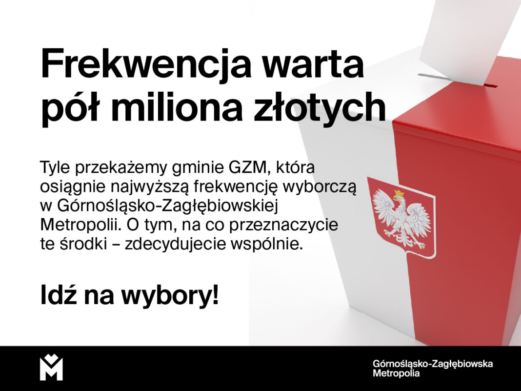 [fot. GZM]