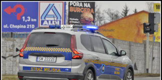 [fot. Straż Miejska Mysłowice]