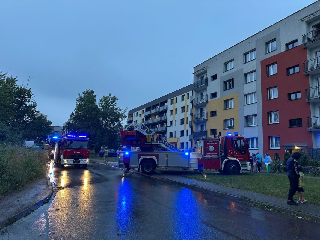 516311063_1206721411479896_6827979327583923765_n