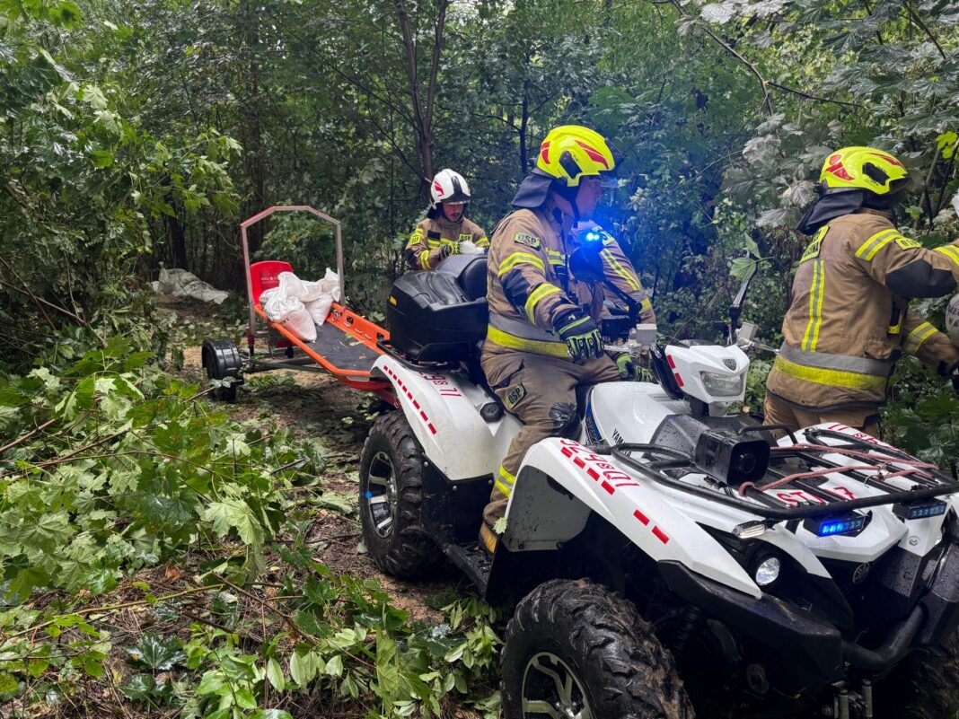 2e041ed2-814a-4176-9b7f-fac8a63fc2e4