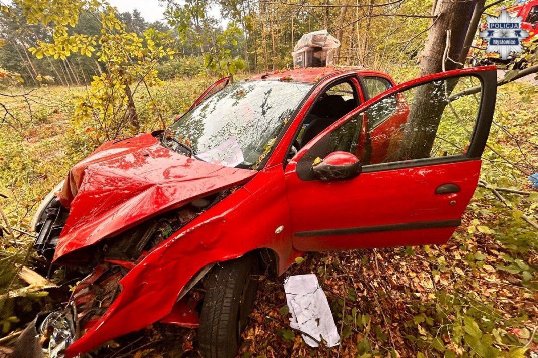 544991107_1374166948043196_1971307088476980868_n