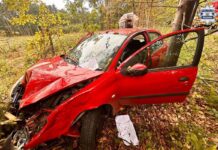 Groźne zdarzenie w Dziećkowicach