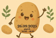 Kartofel Fest w SP 2