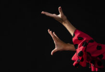 Nowy sezon zajęć w MOK. Flamenco i Holiarte już od września