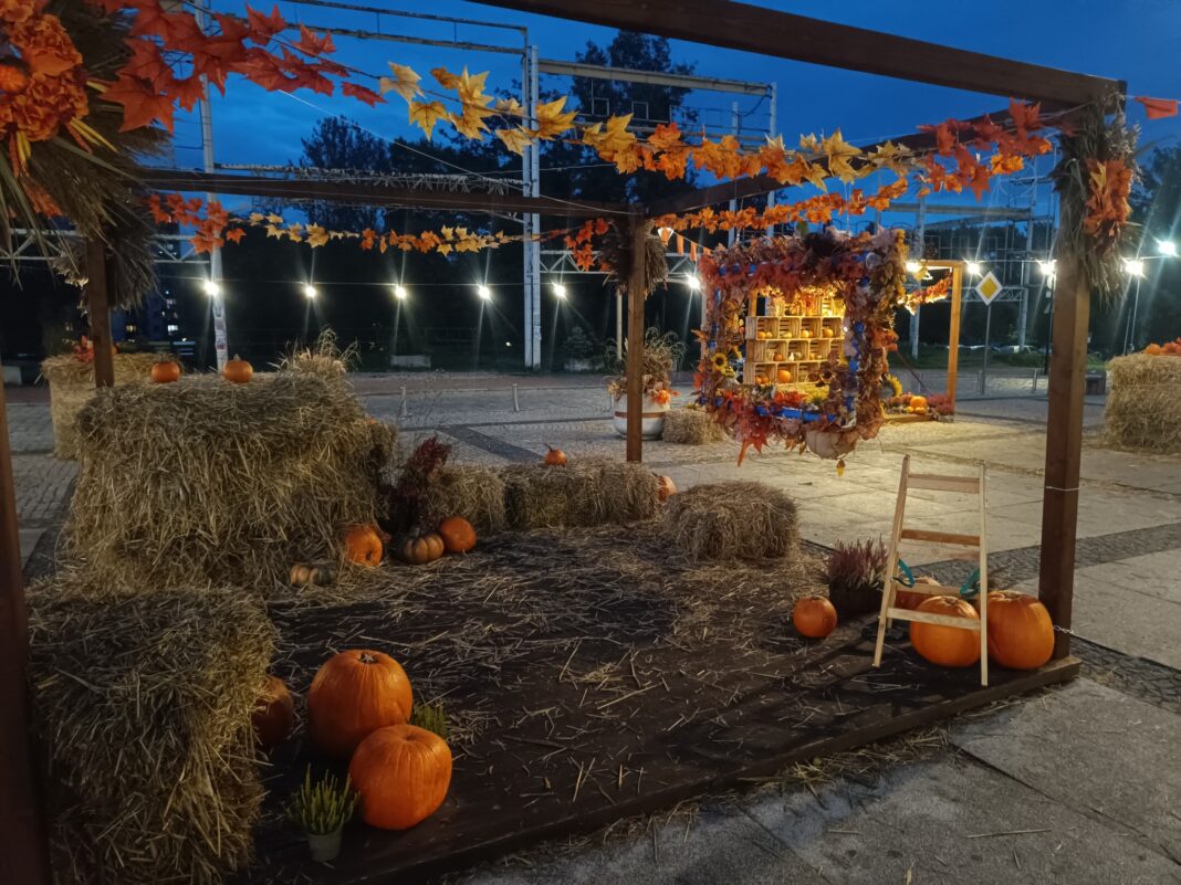 558085683_1601011524673749_3833353681676299032_n