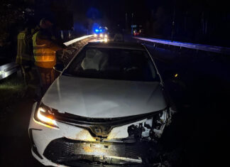 Zderzenie toyoty z dzikami na S1