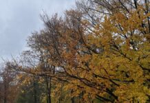 W Polsce pojawił się niż Benjamin. Jaka pogoda w weekend w Mysłowicach?