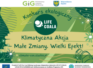 „Małe zmiany, wielki efekt”. Konkurs ekologiczny dla śląskich szkół