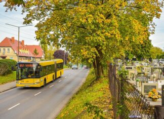 Specjalne linie i darmowe przejazdy w dniu Wszystkich Świętych