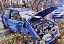 Wypadek na Długiej: Volkswagen uderzył w drzewo