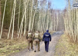 Kontrole w mysłowickich lasach przed świętami