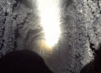 Zagrożenie, którego nie wolno lekceważyć