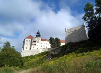 fot. UM w Mysłowicach