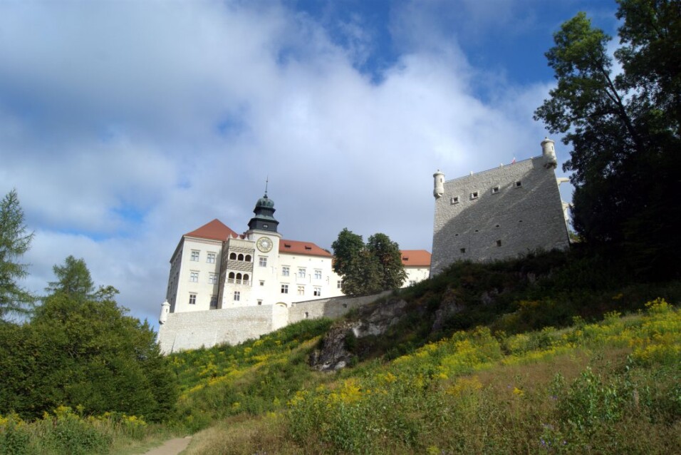 fot. UM w Mysłowicach fot. UM w Mysłowicach