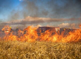 Wiosenna plaga pożarów. Wypalanie traw wciąż zbiera groźne żniwo for. pixabay.com