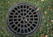 fot. poglądowa: www.pixabay.com