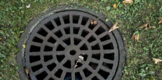 fot. poglądowa: www.pixabay.com