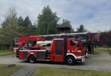 Nowy eksponat w zbiorach muzeum