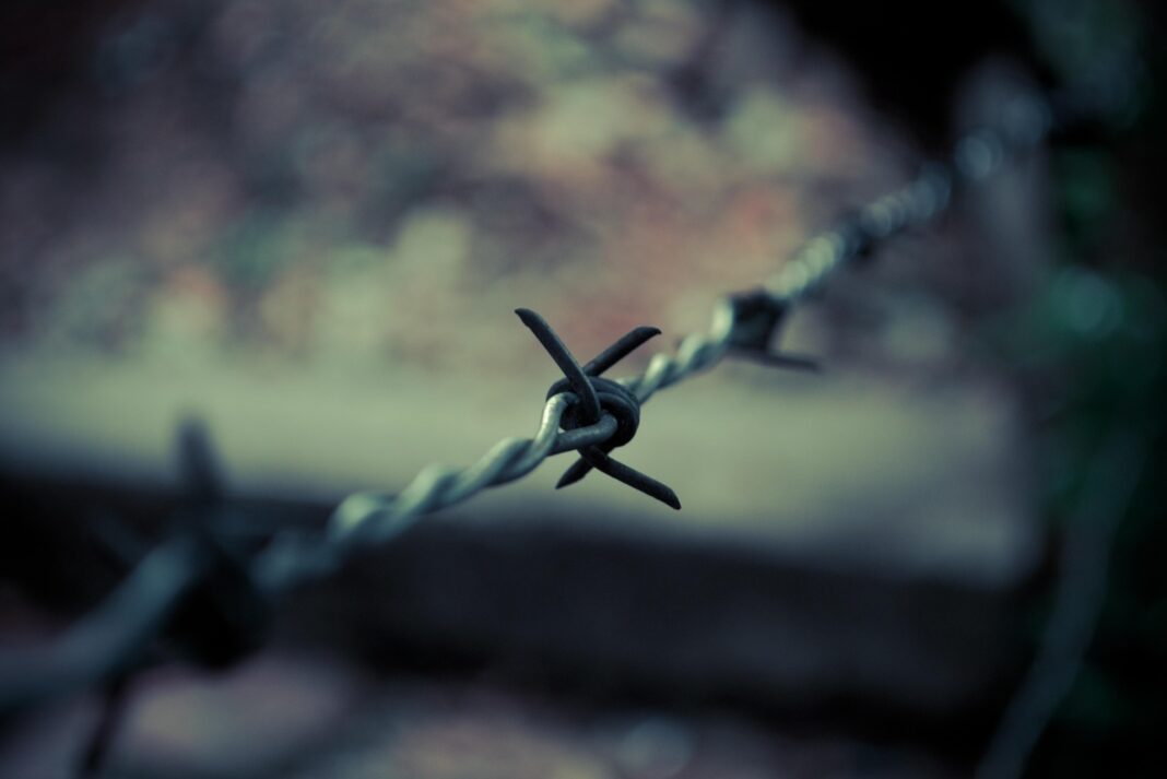 fot. www.pixabay.com