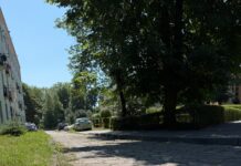 W poniedziałek ruszają prace na ul. Armii Krajowej